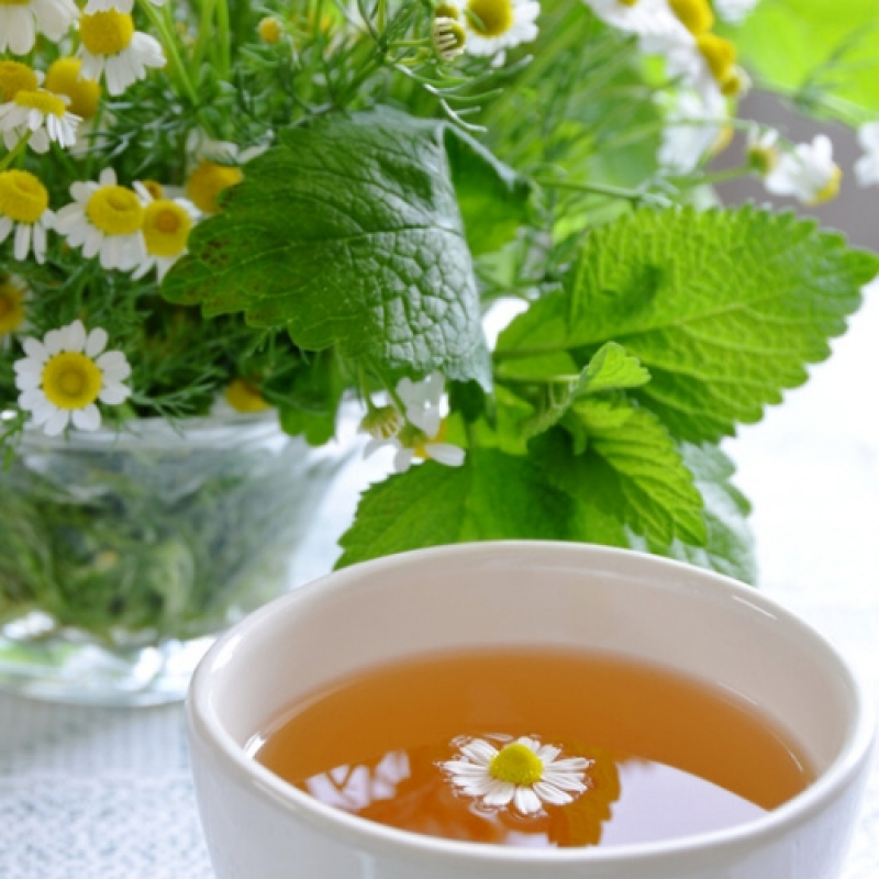 Chá de Camomila e Alecrim Preço Santa Fé do Sul - Chá de Camomila e Erva Cidreira